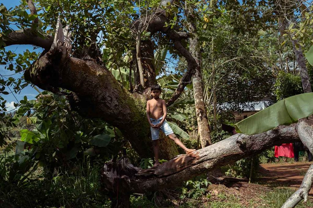 Rooted Strong A boy confidently stands on a tree trunk.