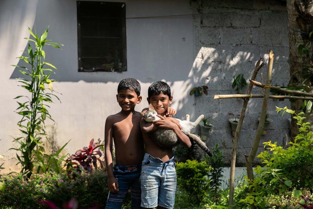 Shared Joy Two boys standing in a garden with a cat.