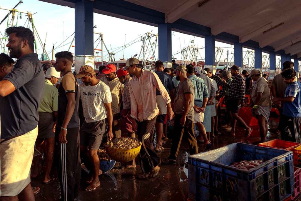 The entry of fishermen to the market with loaded baskets.