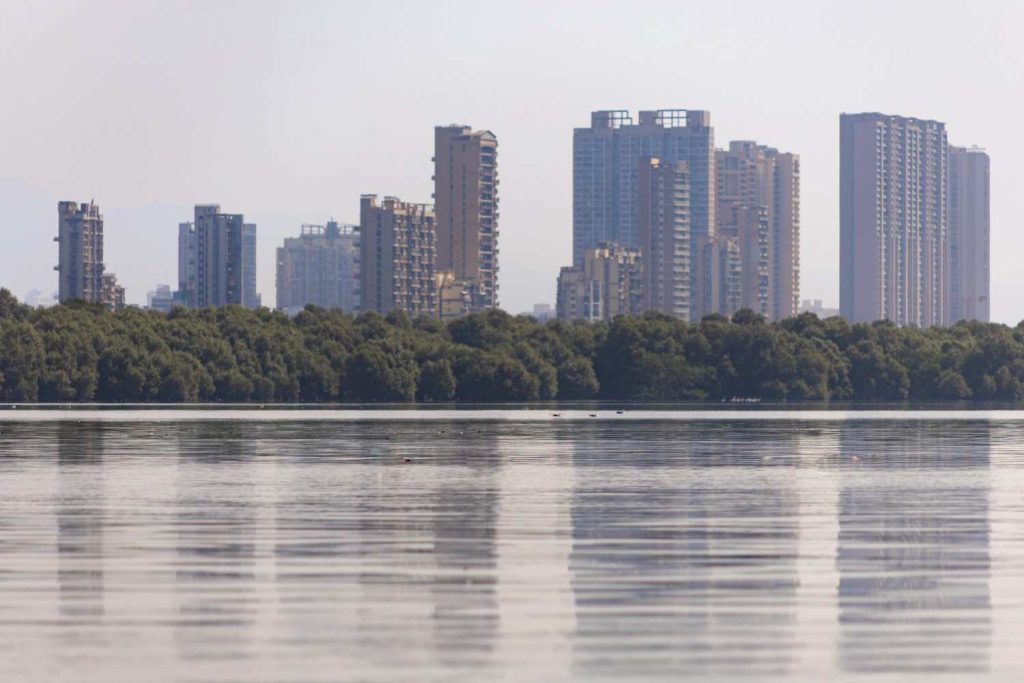 The urban reflection on the river