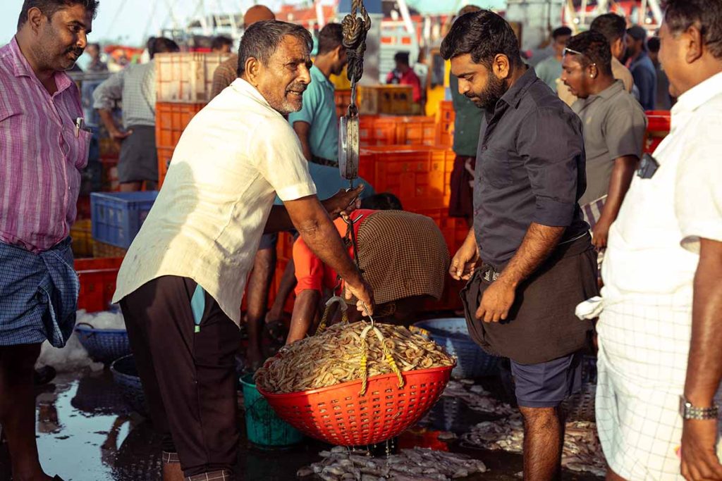 fishermen weighing the fish to get it correct.